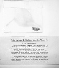 Image Associated With the Occurence